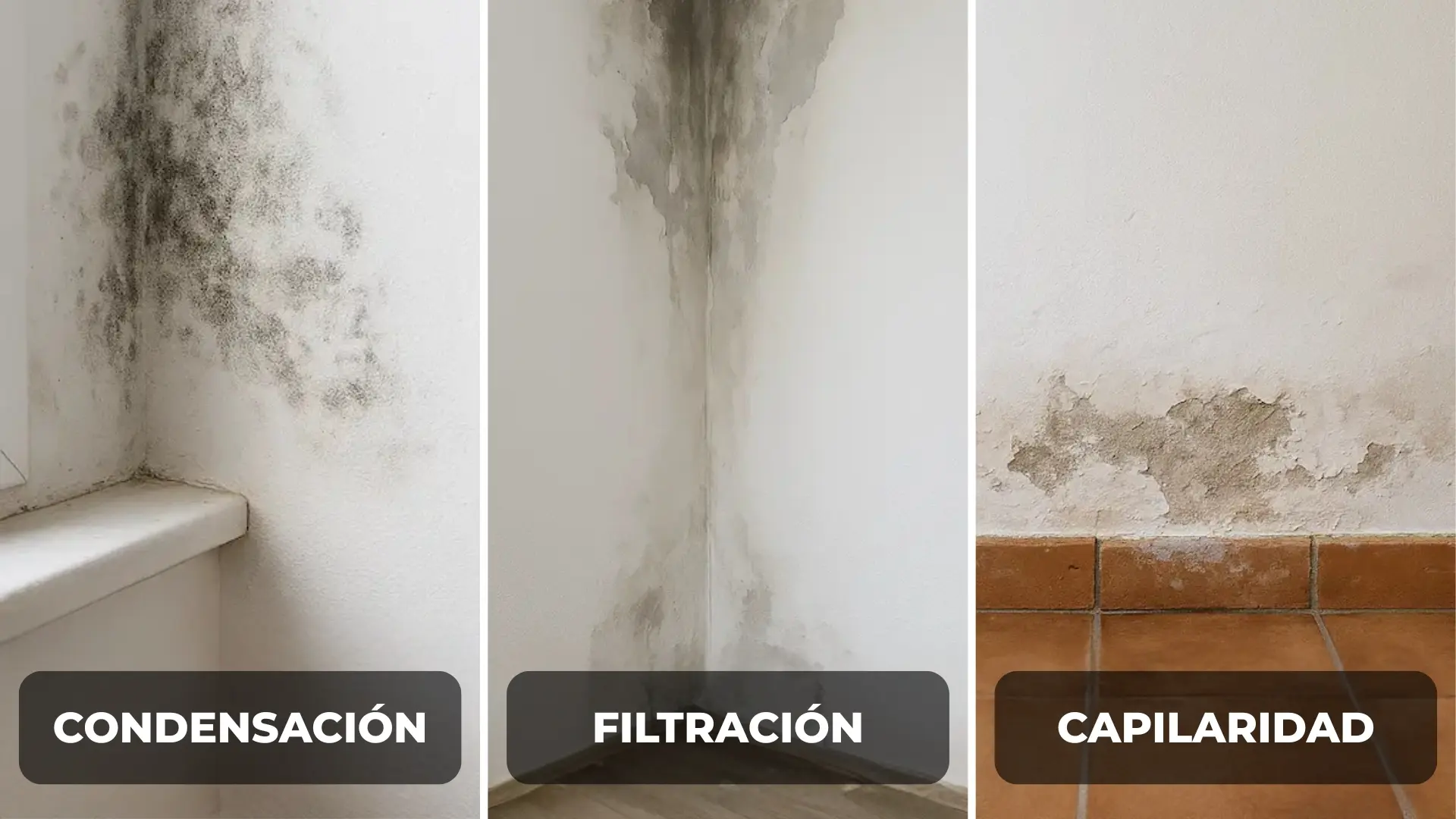 como identificar humedad