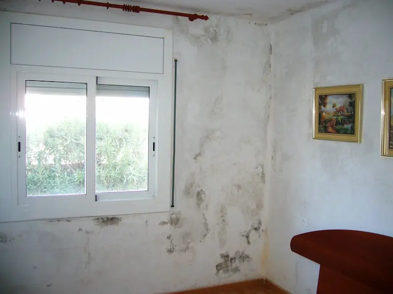 humedad por condensación en habitacion