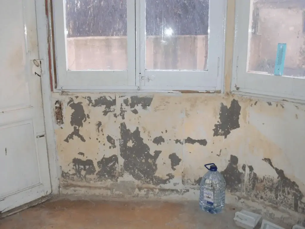 pared con humedad capilaridad y una botella