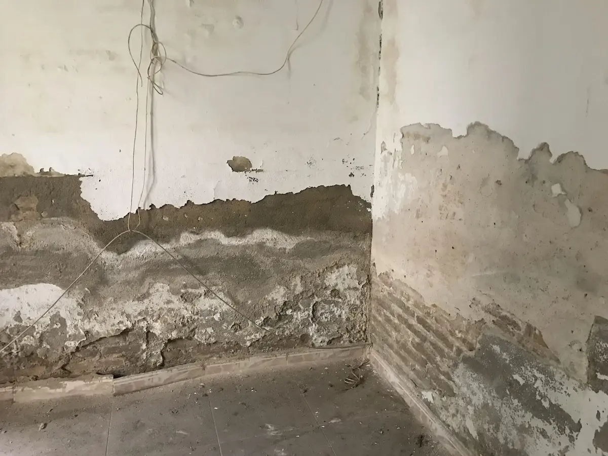 pared con mucha humedad